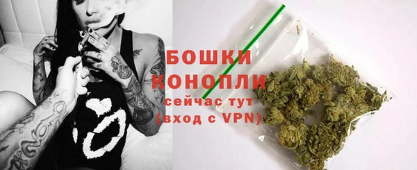 PSILOCYBIN Алексеевка