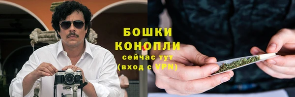 PSILOCYBIN Алексеевка