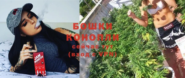 твердый Протвино