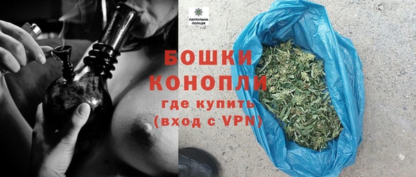 PSILOCYBIN Алексеевка