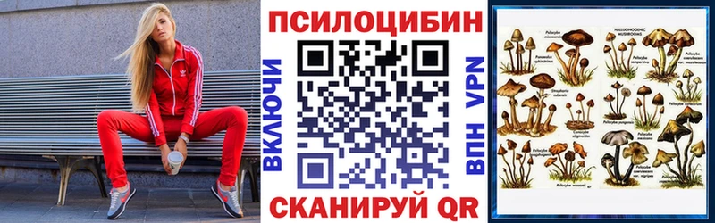 Псилоцибиновые грибы мицелий  hydra как зайти  Кореновск 