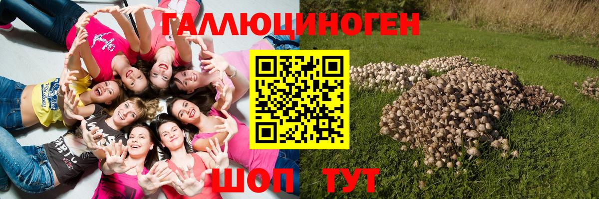 Псилоцибиновые грибы ЛСД  Вход с VPN  Псилоцибиновые грибы Psilocybine cubensis  Кореновск 